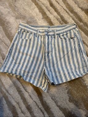 American Eagle Striped Blue and White Women’s Shorts